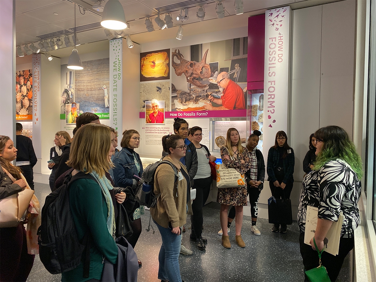 学生聚集在史密森尼国家自然历史博物馆的化石展览中的旅游指南周围