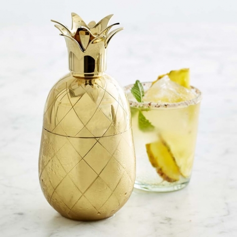 Chris Santone Industrial Design alumni Williams Sonoma pineapple shaker 缩略图
