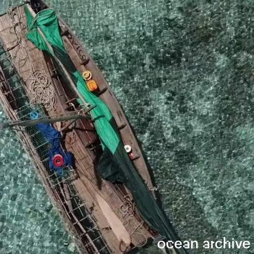 绿色水上独木舟的顶上镜头,覆盖着“海洋档案”的单词"typeof=