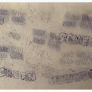 一篇带有“Screem”、“Can You”和“See Me”等短语的印刷品,前后相互重叠。