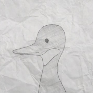 Boots Goose 缩略图