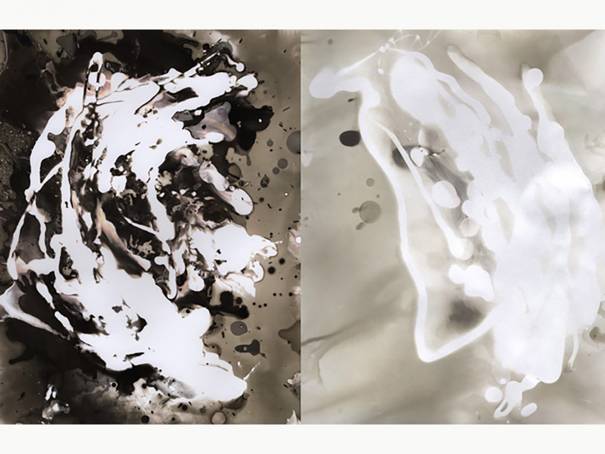 学生工作- Shaina Nyman '18