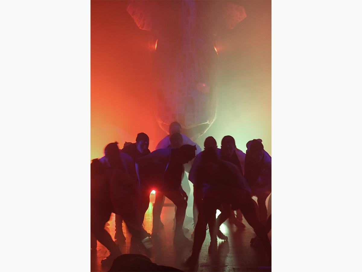 犀牛（艺术银行剧院，2019）照片信用：Paola Nogueras