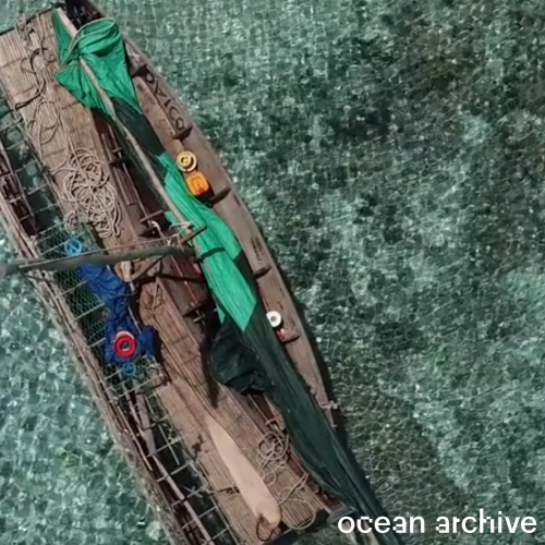 绿色水上独木舟的顶上镜头，覆盖着“海洋档案”的单词＂typeof=