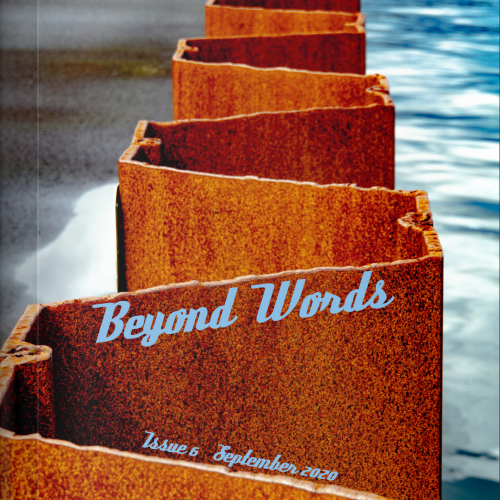 杂志封面，描绘了一种生锈的铁栅栏，将海洋与海滩分开。＂typeof=