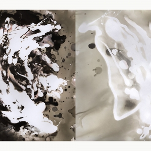 学生工作- Shaina Nyman '18