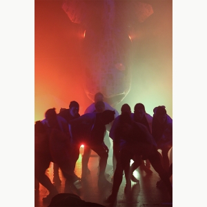 犀牛（艺术银行剧院，2019）照片信用：Paola Nogueras